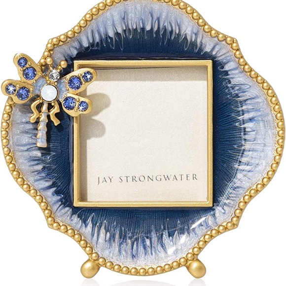 Jay Strongwater Accents Jay Strongwater Blue Dragonfly Frame Poshmark
